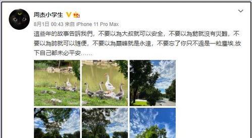 叶璇吃瓜视频全集,揭秘娱乐圈幕后真相