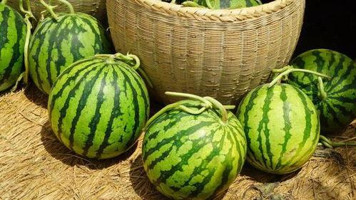 全天吃瓜,揭秘娱乐圈幕后真相