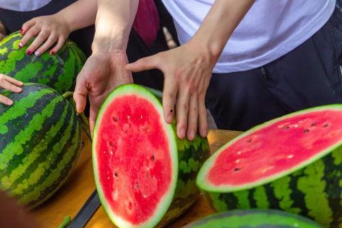 某学院吃瓜,一场校园八卦盛宴