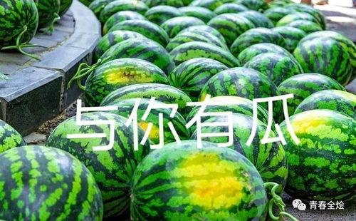 某学院吃瓜,一场校园八卦盛宴