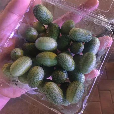 热情爆料吃瓜,独家爆料，吃瓜群众狂欢盛宴