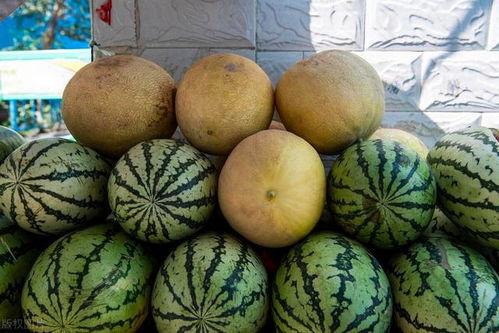 大早上吃瓜好吗