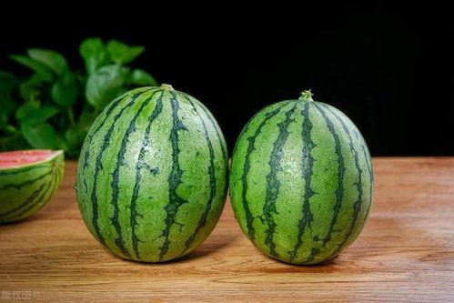 大早上吃瓜好吗