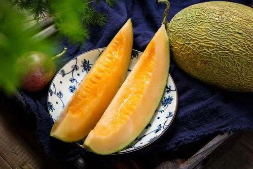 蜜瓜和哈密瓜哪个季节吃