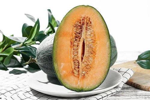 蜜瓜和哈密瓜哪个季节吃