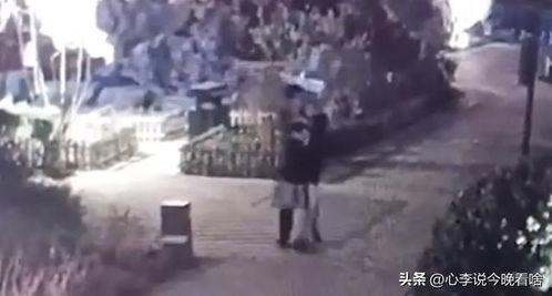 打码视频吃瓜,揭秘吃瓜群众的幕后故事