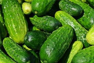 梦见夏天吃的瓜,探寻梦境中的清凉滋味