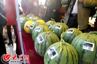 吃瓜定陶的,一场美食与文化的盛宴