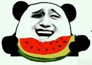 东子吃瓜,揭秘娱乐圈幕后故事