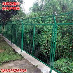 学校铁网围栏吃瓜,揭秘校园生活新趣味