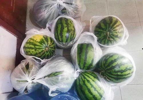 马马瓜咋吃,马马瓜的多样食用方法揭秘