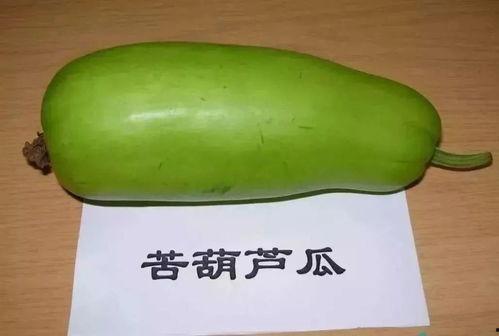 宝宝吃葫芦瓜视频,宝宝视频中的营养美味探索