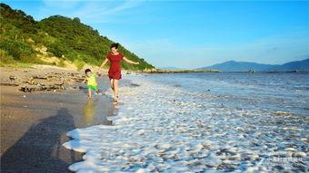 阳光海岸吃瓜,揭秘吃瓜群众的欢乐盛宴