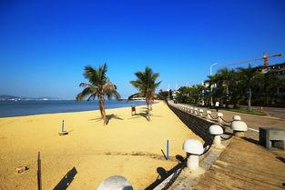 阳光海岸吃瓜,揭秘吃瓜群众的欢乐盛宴