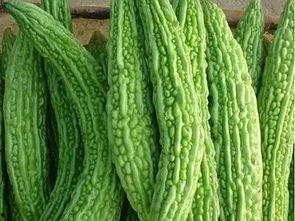 瓜怎么吃才舒服,瓜类食用指南