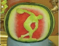 吃瓜种的鸟,揭秘鸟类生态与人类生活的奇妙联系