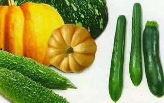 耐克宝吃瓜,揭秘运动品牌背后的故事与争议