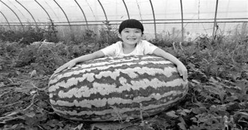 吃瓜老爷,揭秘娱乐圈幕后真相，带你领略明星们的真实生活