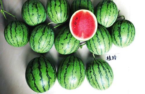 南宁渣男吃瓜事件,揭秘网络舆论下的情感漩涡