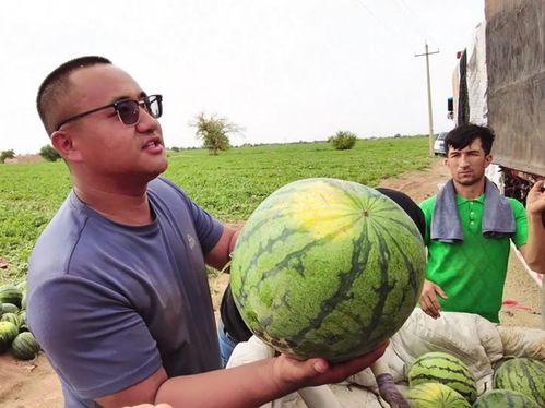 阿奶吃瓜,田园时光里的甜蜜滋味