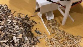 吃瓜神器电动,电动时代的便捷新选择