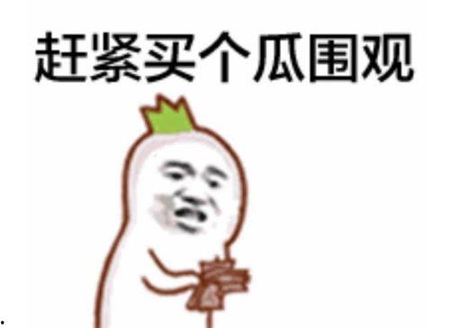 哈欠凝视吃瓜群众,揭秘网络围观现象